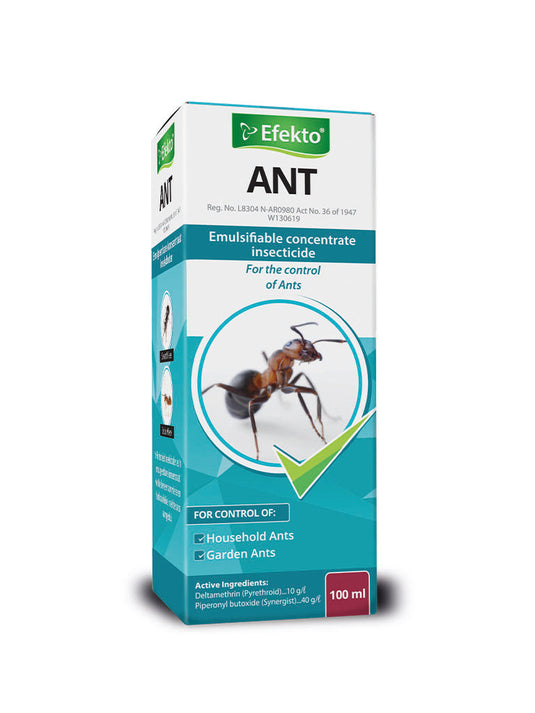 ANT 100ML