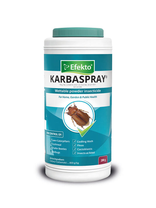 EFEKTO KARBASPRAY 50G