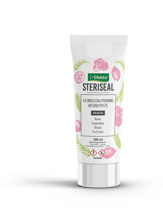 STERISEAL 100ML