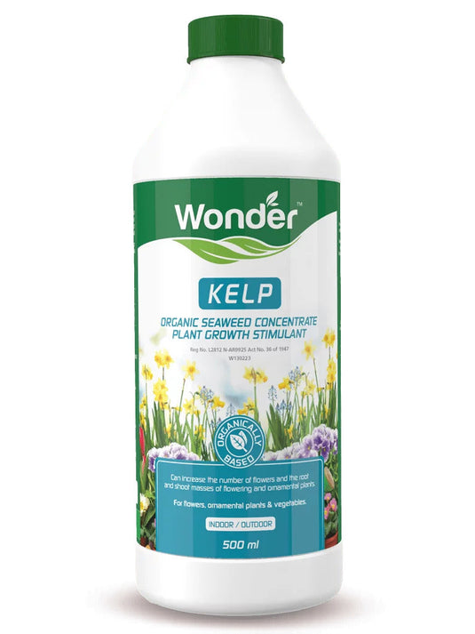 WONDER KELP 500ML
