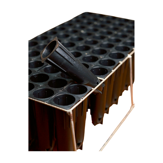 SEEDLING TRAY 72 - 38 UNITS