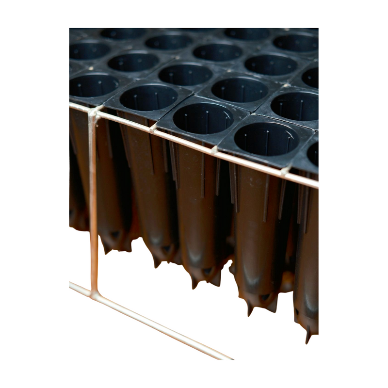 Load image into Gallery viewer, SEEDLING TRAY 72 - 38 UNITS
